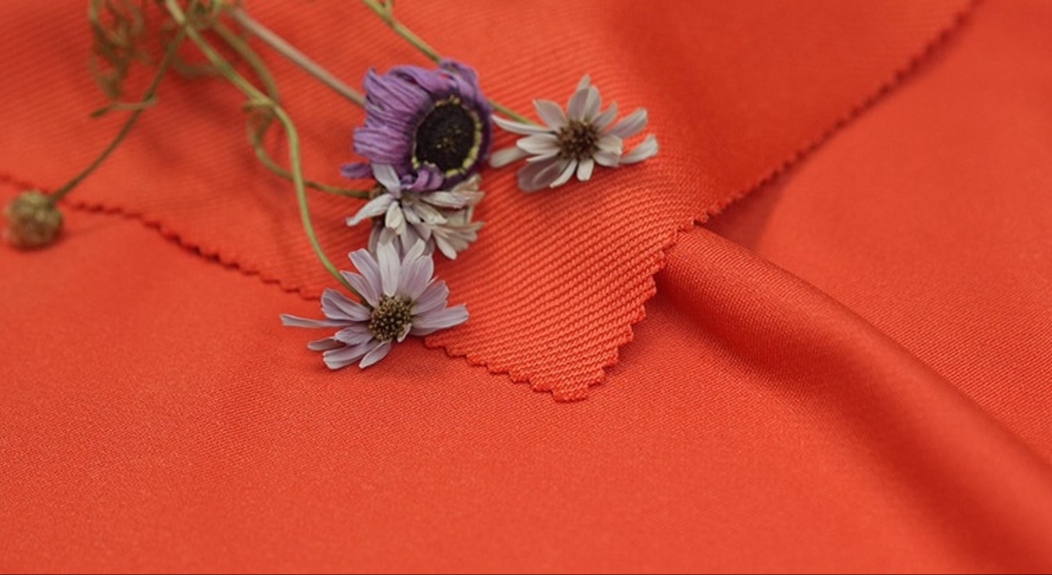 v2